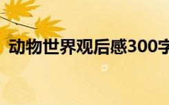 动物世界观后感300字 看完动物世界的感想