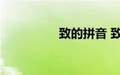 致的拼音 致拼音和释义