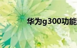 华为g300功能（华为g302d）