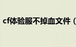 cf体验服不掉血文件（cf体验服不掉血文件）
