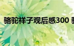 骆驼祥子观后感300 骆驼祥子观后感怎么写