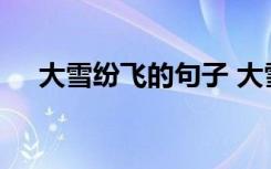 大雪纷飞的句子 大雪纷飞的句子有哪些