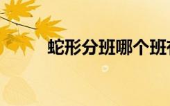 蛇形分班哪个班有优势（怎么分）