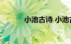 小池古诗 小池古诗内容是什么