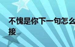 不愧是你下一句怎么接 不愧是你下一句如何接