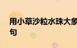 用小草沙粒水珠大象阳光造句300字 沙粒造句