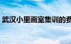 武汉小里画室集训的费用（大概要花多少钱）