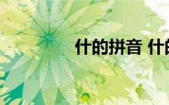 什的拼音 什的拼音是什么