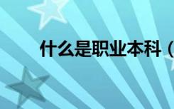 什么是职业本科（毕业是什么文凭）