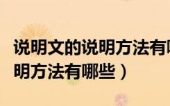 说明文的说明方法有哪些并举例（说明文的说明方法有哪些）