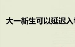 大一新生可以延迟入学吗（需要什么材料）