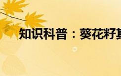知识科普：葵花籽其实是向日葵的什么