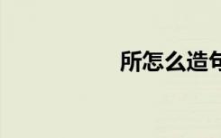 所怎么造句 所能造句