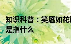 知识科普：笑靥如花形容人笑起来很美其中靥是指什么