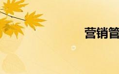 营销管理包括