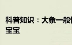 科普知识：大象一般怀孕多久才能生下一个象宝宝