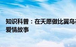 知识科普：在天愿做比翼鸟在地愿为连理枝一诗写的是哪个爱情故事