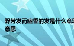 野芳发而幽香的发是什么意思 怎么理解野芳发而幽香的发的意思
