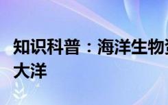 知识科普：海洋生物资源最丰富的是以下哪个大洋