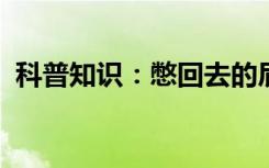 科普知识：憋回去的屁最终很可能会怎么样