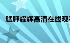 艋胛耀辉高清在线观看（艋胛耀辉主题曲）