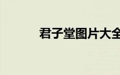 君子堂图片大全（君子堂内应）
