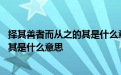 择其善者而从之的其是什么意思 怎么理解择其善者而从之的其是什么意思