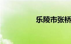 乐陵市张桥中学怎么样