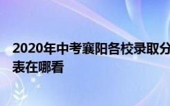 2020年中考襄阳各校录取分数线 襄阳2020年中考一分一段表在哪看