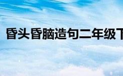昏头昏脑造句二年级下册语文 昏头昏脑造句