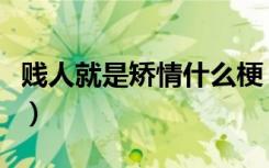 贱人就是矫情什么梗（贱人就是矫情什么意思）