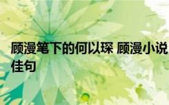 顾漫笔下的何以琛 顾漫小说《何以笙箫默》角色何以琛名言佳句