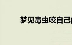 梦见毒虫咬自己的手（梦见毒虫）