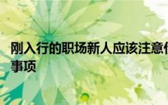 刚入行的职场新人应该注意什么 刚入行的职场新人应该注意事项
