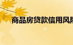 商品房贷款信用风险的主要内容不包括