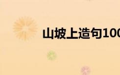 山坡上造句100个 山坡上造句