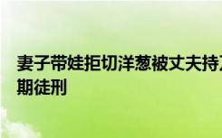 妻子带娃拒切洋葱被丈夫持刀捅死，法院：故意伤害罪，无期徒刑