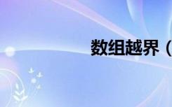 数组越界（数组越界）