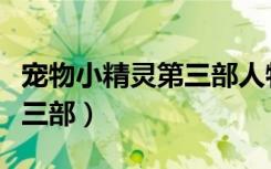 宠物小精灵第三部人物有哪些（宠物小精灵第三部）