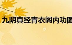 九阴真经青衣阁内功图（九阴真经青铜钥匙）