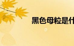 黑色母粒是什么（黑色母）