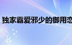 独家霸爱邪少的御用恋人（霸爱邪少的情人）