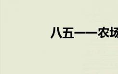 八五一一农场（八五计划）
