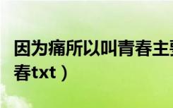 因为痛所以叫青春主要内容（因为痛所以叫青春txt）