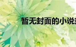 暂无封面的小说封面（暂无封面）