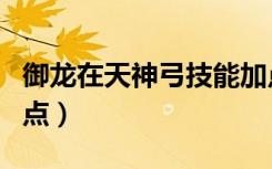 御龙在天神弓技能加点（御龙在天神弓技能加点）