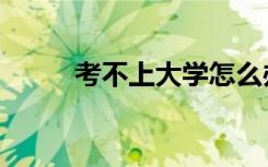 考不上大学怎么办（有什么出路）