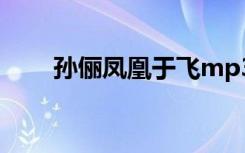 孙俪凤凰于飞mp3（孙俪凤凰于飞）