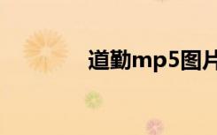 道勤mp5图片（道勤mp5）