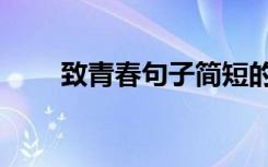 致青春句子简短的（青春励志短句）